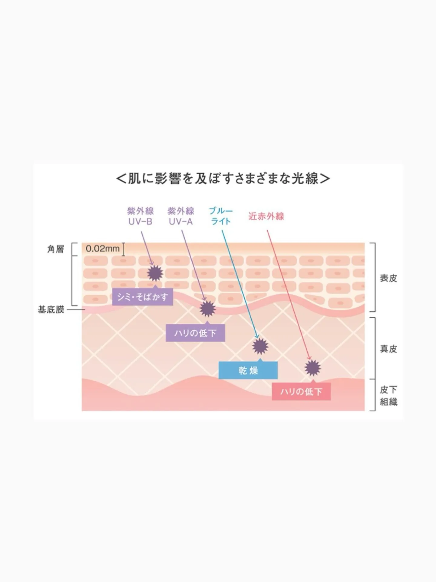 faithから日焼け止め美容液がリニューアルされました✨